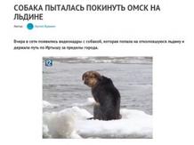 «Не пытайтесь покинуть Омск». Даже на льдине